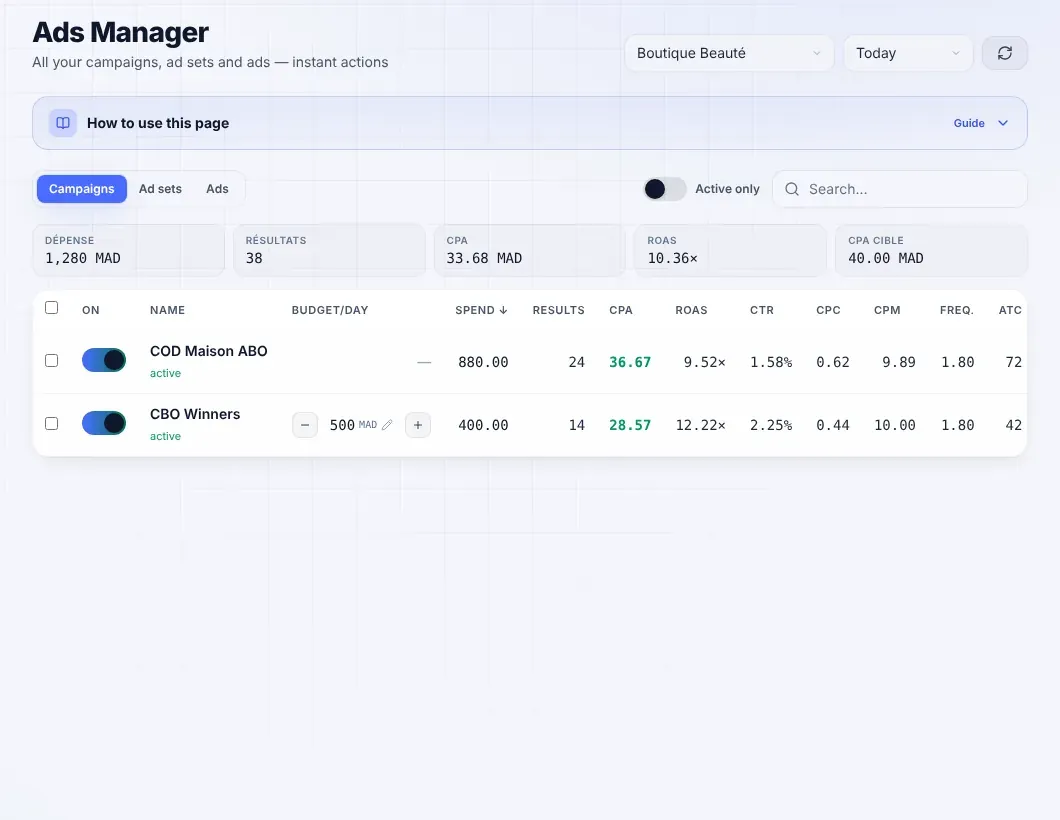 NightBuyer Ads Manager with budgets and CPA